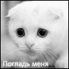 R@stisk@